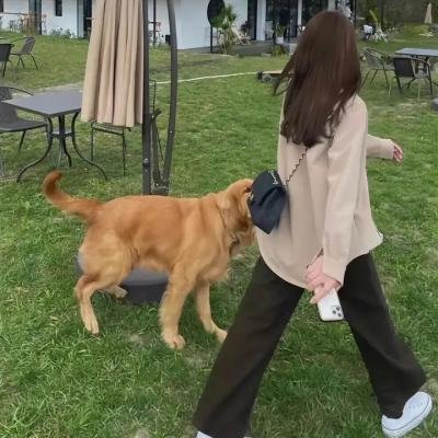年少无知